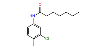 3-Chloro-4-methylenanthoanilide