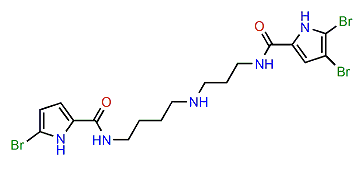 3-Debromopseudoceratidine