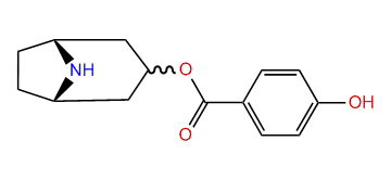 3-(Hydroxybenzoyloxy)-nortropane