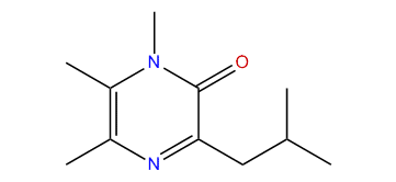 3-Isobutyl-1,5,6-Trimethylpyrazin-2(1H)-one