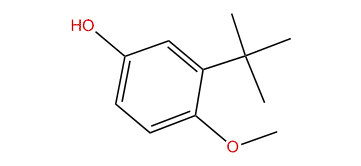 3-tert-Butyl-4-methoxyphenol