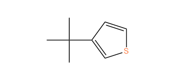 3-tert-Butylthiophene