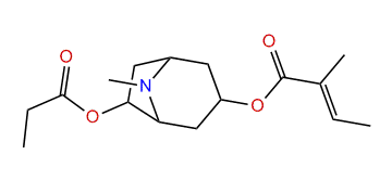 3-Tigloyloxy-6-propionyloxytropane