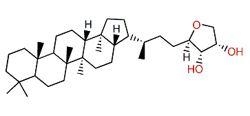 (32R,33S,34S)-32,35-Anhydrobacteriohopane-33,34-diol