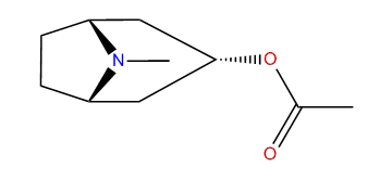 3alpha-Acetoxytropane