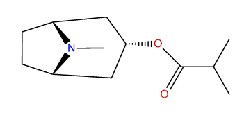 3alpha-Isobutyroxytropane