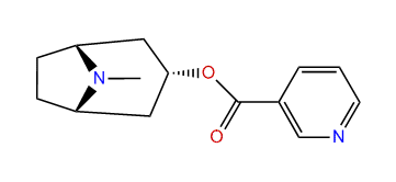 3a-Nicotinoyloxytropane