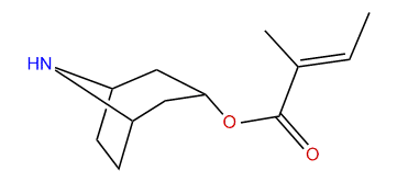 3a-Tigloyloxynortropane