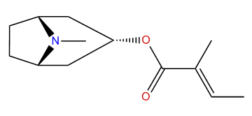 3a-Tigloyloxytropane