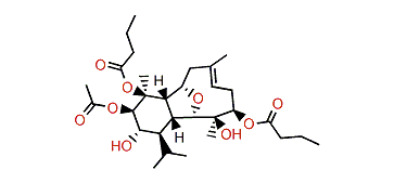 (8E)-3b-Acetoxy-2a,12b-dibutanoyloxycladiell-8-en-4b,11b-diol