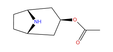 3b-Acetoxynortropane