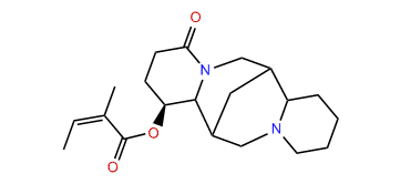 3b-Angeloyloxylupanine