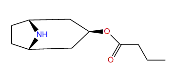 3b-N-Butyroxynortropane