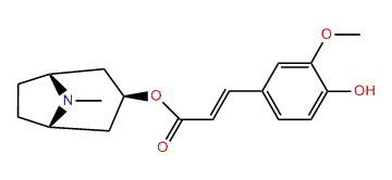 3b-Feruloyloxytropane