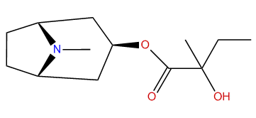 3beta-(Hydroxy-2-methylbutyroxy)-tropane