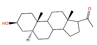 3b,5b-Pregn-20-one-3-ol