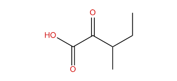 3-Methyl-2-oxopentanoic acid