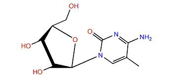 3-Methylcytidine