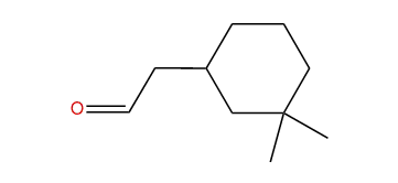 3,3-Dimethyl-cyclohexaneacetaldehyde