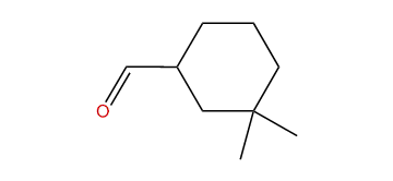 3,3-Dimethyl-cyclohexanecarboxaldehyde