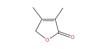 3,4-Dimethylfuran-2(5H)-one