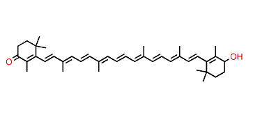 4'-Hydroxy-beta,beta-caroten-4-one