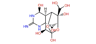 4-epi-11-Oxotetrodotoxin