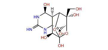 4-Epitetrodotoxin