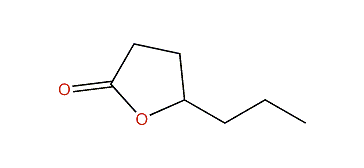 Dihydro-5-propylfuran-2(3H)-one