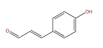 4-Hydroxycinnamaldehyde