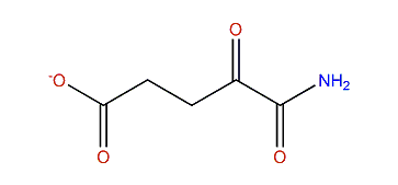 4-Oxoglutaramate