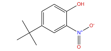 4-tert-Butyl-2-nitrophenol