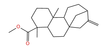 4beta-Methyl kaur-16-en-18-oate