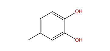 4-Methylcatechol