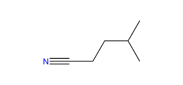 4-Methylpentanenitrile