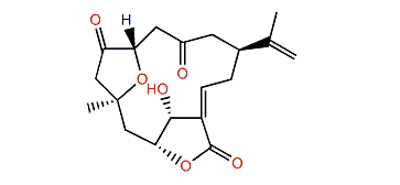 5,11-Diepisinuleptolide