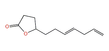 (E)-5-(3,6-Heptadienyl)-dihydrofuran-2(3H)-one