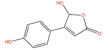 5-Hydroxy-4-(4-hydroxyphenyl)-furan2(5H)-one