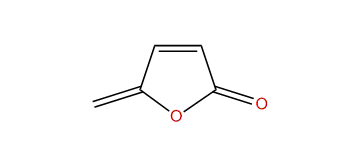 5-Methylenefuran-2(5H)-one