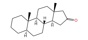 5alpha-Androstan-16-one