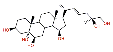 (22E,25S)-5a-Cholest-22-en-3b,5,6b,15b,25,26-hexol