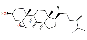 5a,6a-Epoxyergosta-7,24(28)-dien-3b-ol