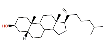 5b-Cholestane-3b-ol