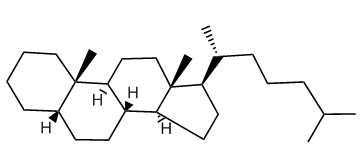 5beta-Cholestane