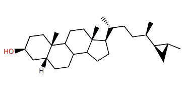 5b-Petrostan-3b-ol