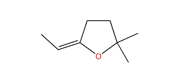 (E)-5,5-Dimethyl-2-ethylidenetetrahydrofuran