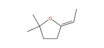 (Z)-5,5-Dimethyl-2-ethylidenetetrahydrofuran