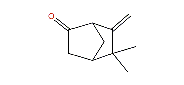 5,5-Dimethyl-6-methylenebicyclo[2.2.1]heptan-2-one