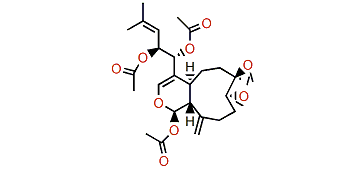 6-Epideoxyhavannahine