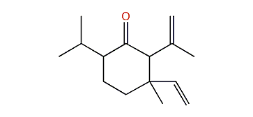 6-Epishyobunone